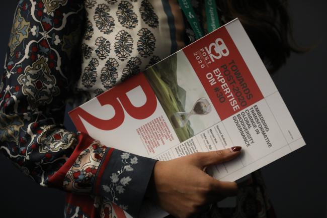 On the third day of the Rio Conventions Pavilion, focus turned to transformative change for nature positive pathways