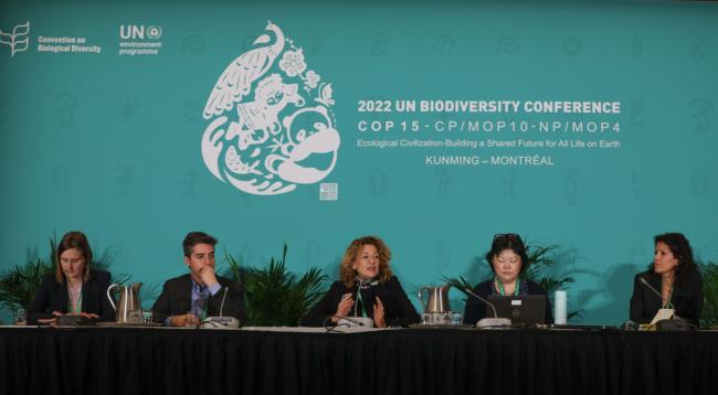 Panel speakers for The Role of NBSAPs and NAPs in Scaling Nature-Based Infrastructure