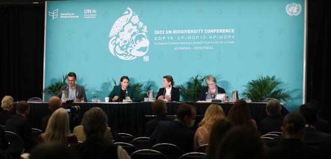 Ministerial Panel: Aligning Nature and Climate Change for Transformative Change