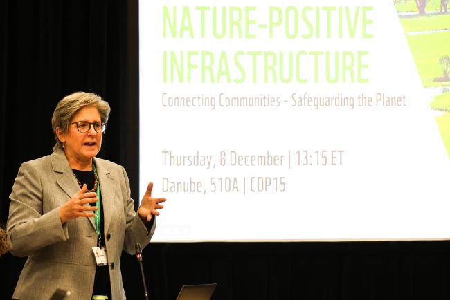 Kate Newman, WWF-US_SideEventsCBDCOP15_7Dec2022_Photo.jpg