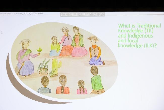 Slide Viviana_SideEventsCBDCOP15_10Dec2022_Photo.jpg