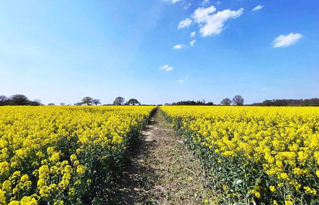 Landscape image