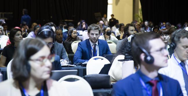 plenary afternoon