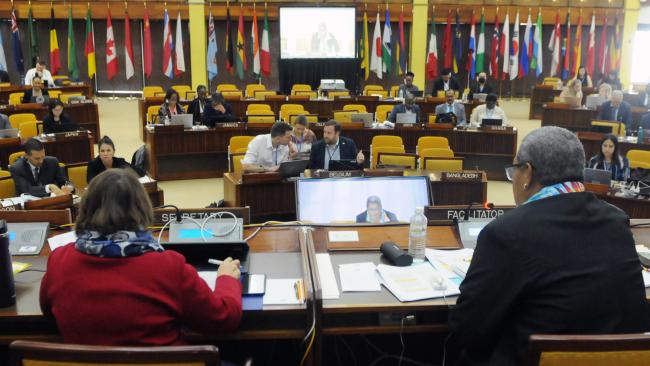 Working Group Facilitator Raijeli Taga, Fiji, responds to a question from Elza Moreira Marcelino de Castro, Brazil