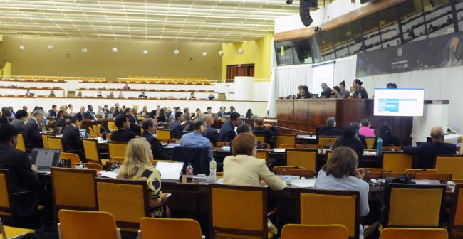 Delegates during the presentation made by IGF representatives