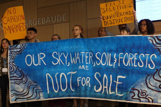 Members of civil society demonstrate in the corridors as discussions on Article 6 continue