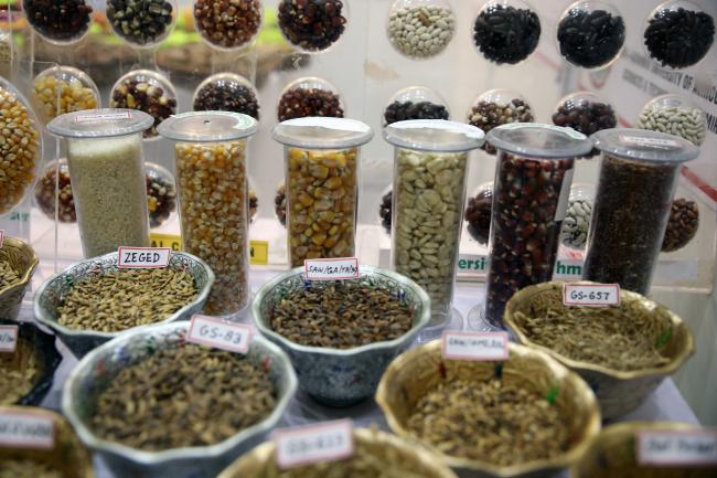 Grains