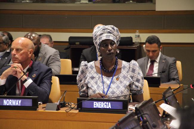 Hans Olav Ibrekk and Sheila Oparaocha
