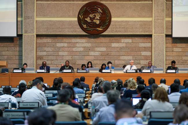 View of the dais during the plenary