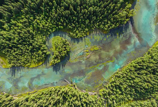 Earth Observation