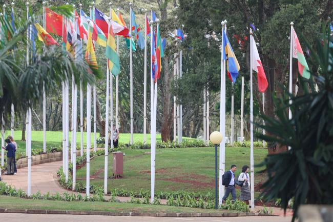 UN Flags