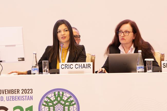 Dais Afternoon - CRIC 21 - 16 Nov 2023 - Photo