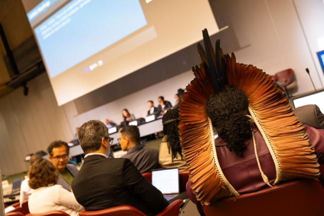 Brazilian headdress