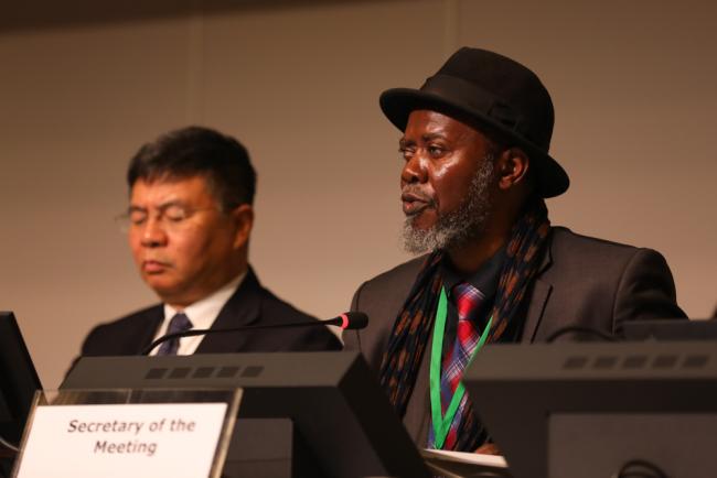 Taukondjo Shikongo, Working Group on DSI Secretary