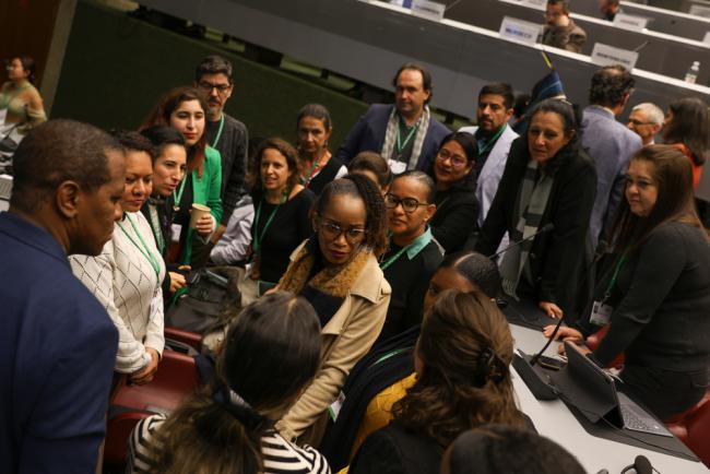 Delegates from the the Latin American and Caribbean Group (GRULAC)