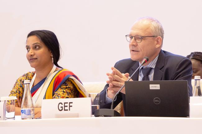 Susan Mathew, Conservation International, and Ulrich Apel, Global Environment Facility (GEF) - CRIC 21 - 16 Nov 2023 - Photo