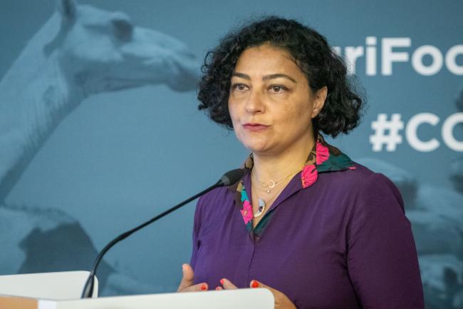 Mirey Atallah