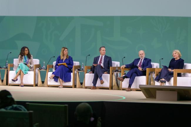 Panel