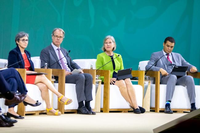 Panel