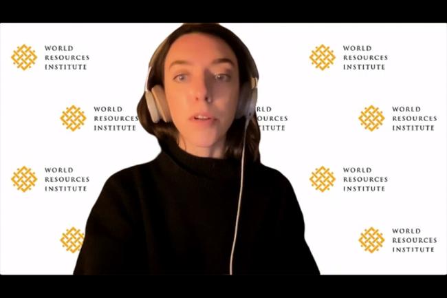 Eillie Anzilotti, Communications Lead, UrbanShift (GEF’s Sustainable Cities Program), WRI