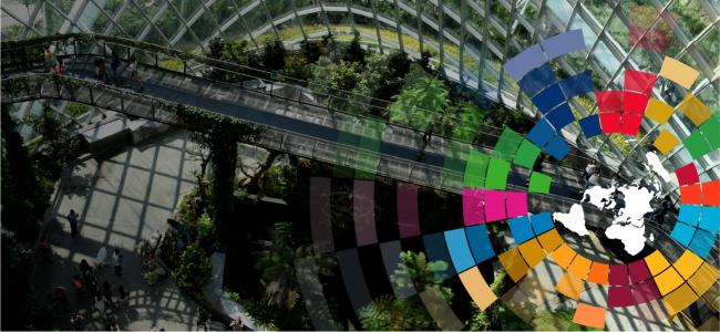 Banner of Global Major Groups and Stakeholders Forum (GMGSF) at UNEA-6