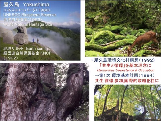 Photos from Yakushima Island - COMDEKS - 13Feb24 – photo copy.jpg