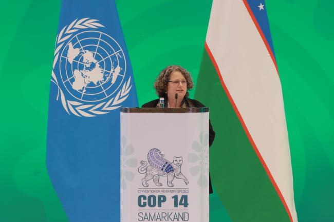 CMS Executive Secretary Amy Fraenkel