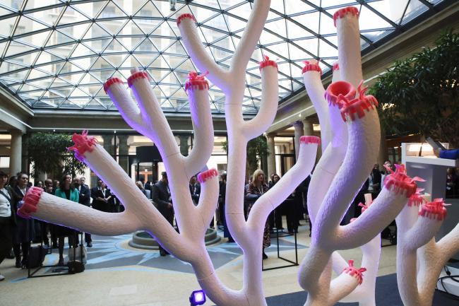 Coral artwork 