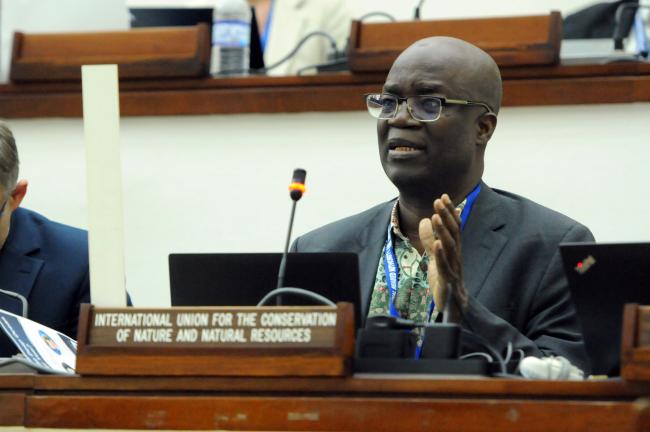 Rashid Sumaila, International Union for Conservation of Nature (IUCN)