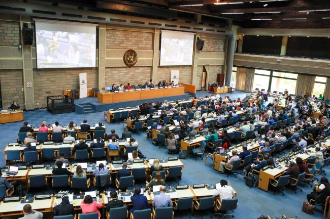 View of the room during the morning plenary