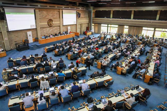 View of the room during the morning plenary