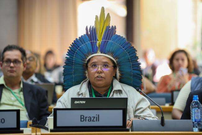 Maria da Conceição Alves Feitosa, Brazil