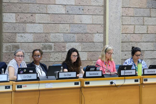 View of the dais during the Contact Group on mechanisms for planning, monitoring, reporting and review