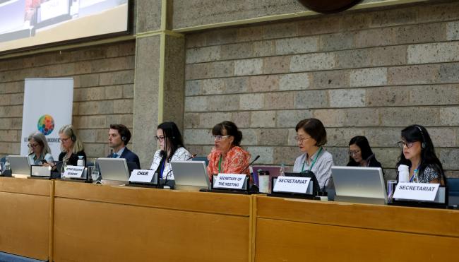 View of the dais during the morning plenary