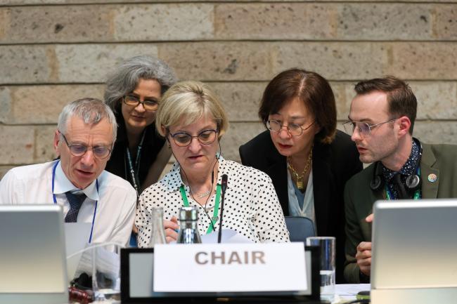 SBSTTA 26 Chair Senka Barudanović, Bosnia and Herzegovina, conferring with the Secretariat