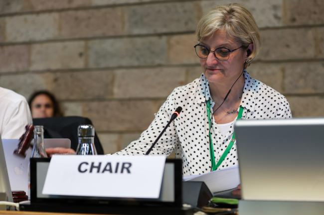 SBSTTA 26 Chair Senka Barudanović, Bosnia and Herzegovina
