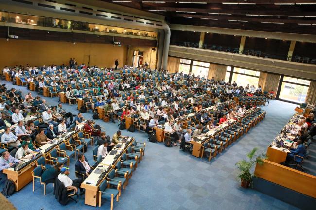 View of the room during the afternoon plenary