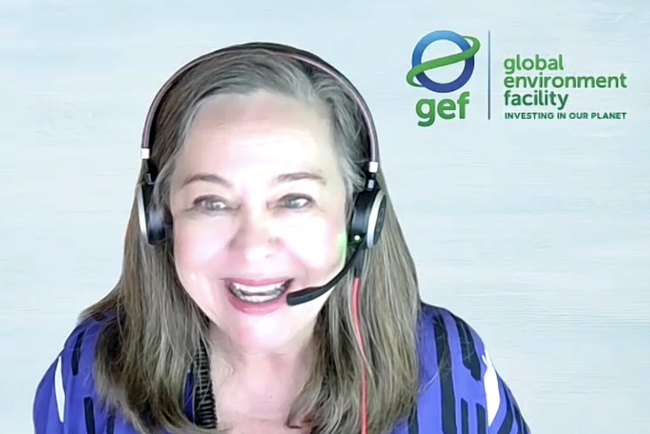 Adriana Moreira, Lead Specialist, GEF Partnerships Division - GEF67Council_GEF_CSO_Consultation-14June2024