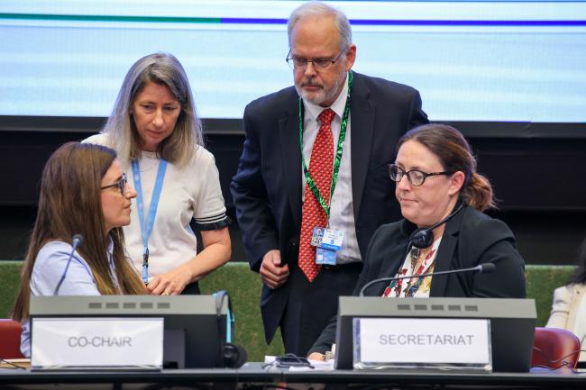 OEWG Co-Chair Judith Torres, Juliette Kohler, David Ogden, and Susan Wingfield, BRS Secretariat
