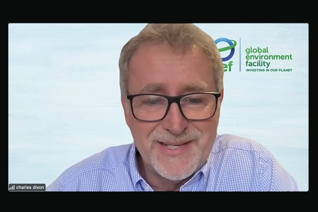 Charles Dixon Gray, External Advisor, GEF SGP - GEF67Council_GEF_CSO_Consultation-14June2024