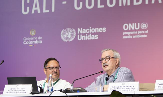 3 Braulio Ferreria, Ministry Environment and Climate Change, Brazil- Listening to the science - 25 Oct2024