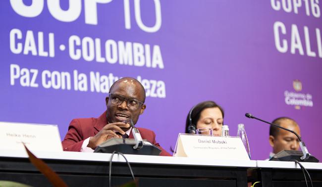 Daniel Mukubi, Ministry of Environment and Sustainable Development, Democratic Republic of Congo (DRC) - Solutions for the Implementation of Synergies - 25 Oct2024.jpg