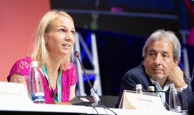 Ida Hellmark, Norwegian Agency for Development Cooperation - Solutions for the Implementation of Synergies - 25 Oct2024