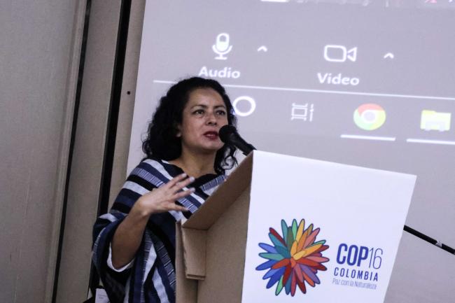 Yesenia Hernández, International Indigenous Forum on Biodiversity and Ecosystem Services & Biodiversity Finance Initiative - Humboldt-31oct24-photo