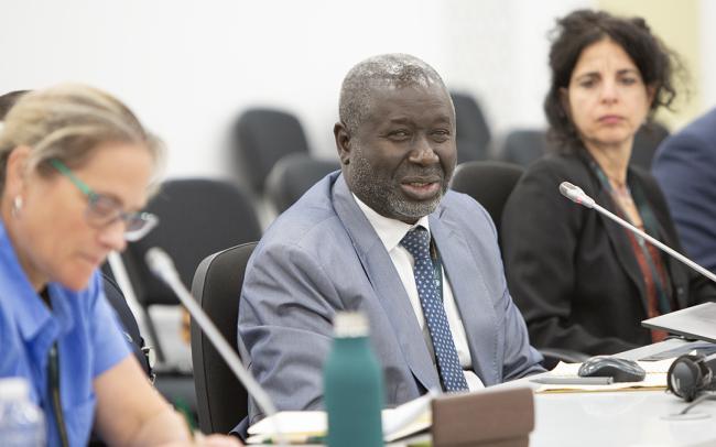 Abdoul Aziz Niame, Regional Coordinator for the Arabian Peninsula Regional Program, International Center for Agricultural Research in the Dry Areas (ICARDA) - Rethinking Urban Landscapes - UNEP - UNCCD COP16 - 6 Nov