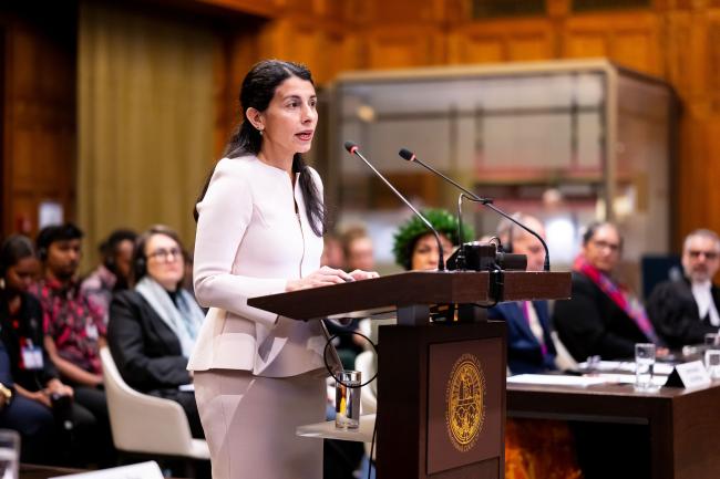 Catherine Amirfar, Commission of Small Island States on Climate Change and International Law