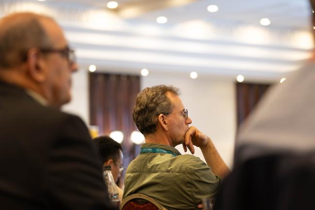 Delegates follow the textual negotiations projected on the screens