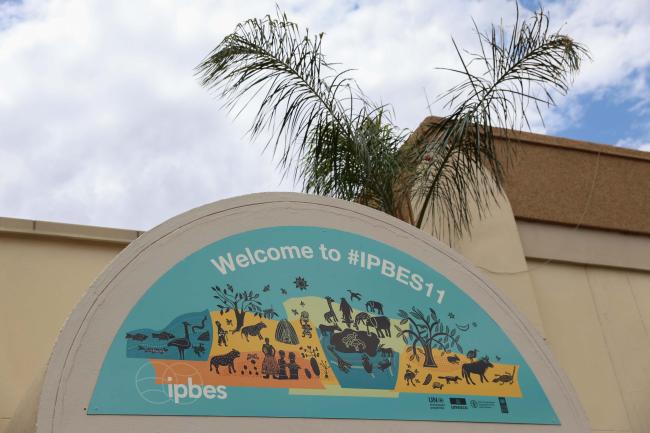 IPBES 11 continues for its third day in Windhoek, Namibia