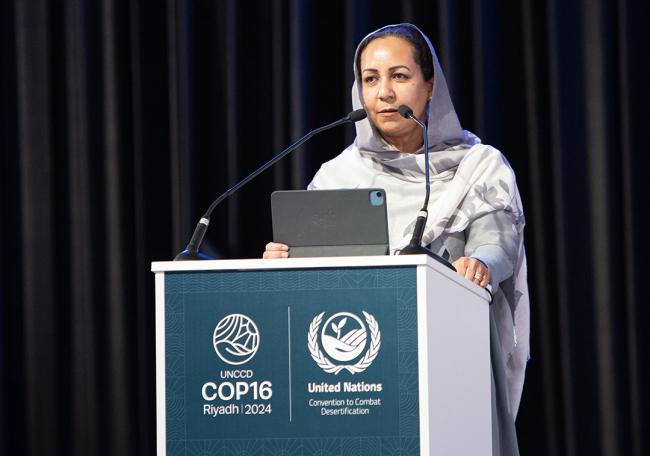 Safaa El Tayeb El- Kogali, Country Director, World Bank - Integrated Land Solutions - UNCCD - COP16 - 10 Dec 2024