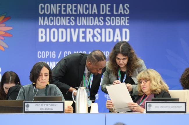 Presidency and Secretariat consulting before the opening of the meeting